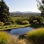 Sculpting the Land: Arterra’s Landscape Architecture