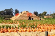 Short Takes: Country Pyramid