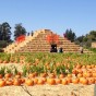 Short Takes: Country Pyramid