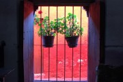 Pictures of the Week- Santa Catalina Convent, Arequipa, Peru