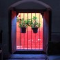 Pictures of the Week- Santa Catalina Convent, Arequipa, Peru