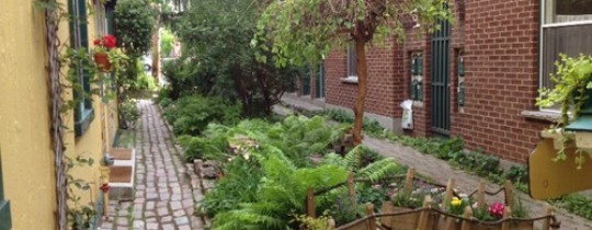 David Winslow on the Guerrilla Urbanism of DIY Neighborhood Improvements